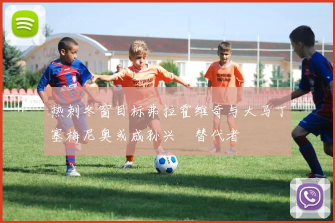 热刺冬窗目标弗拉霍维奇与大马丁塞梅尼奥或成孙兴慜替代者
