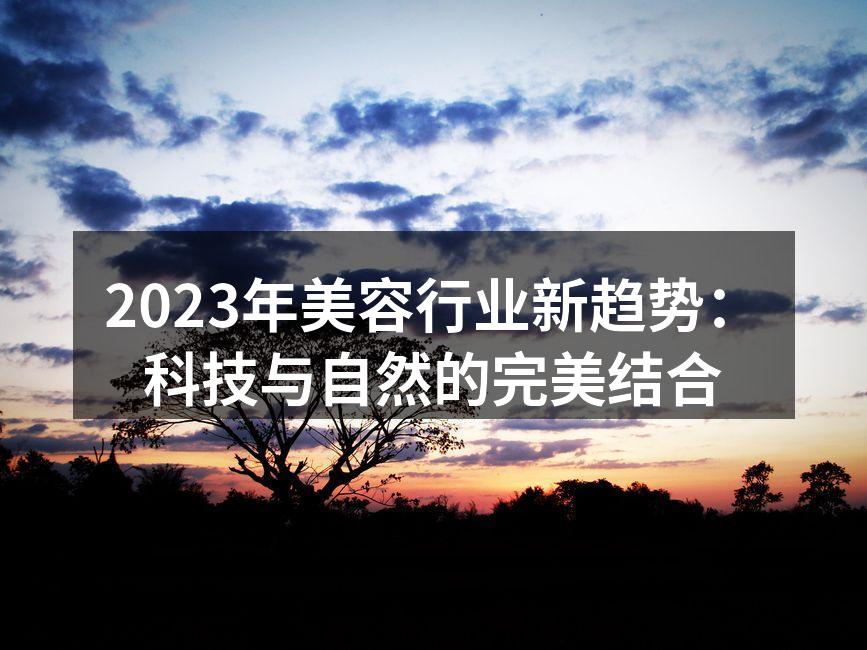 科技美容产品示例